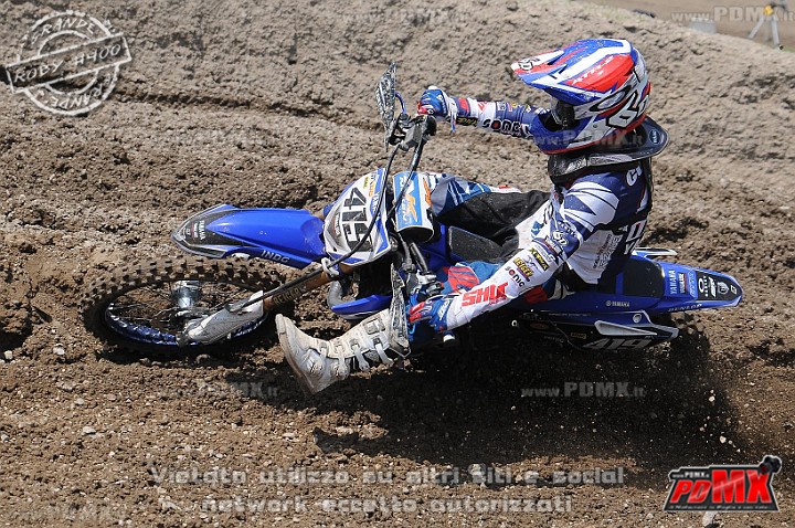 FOX_3138.JPG