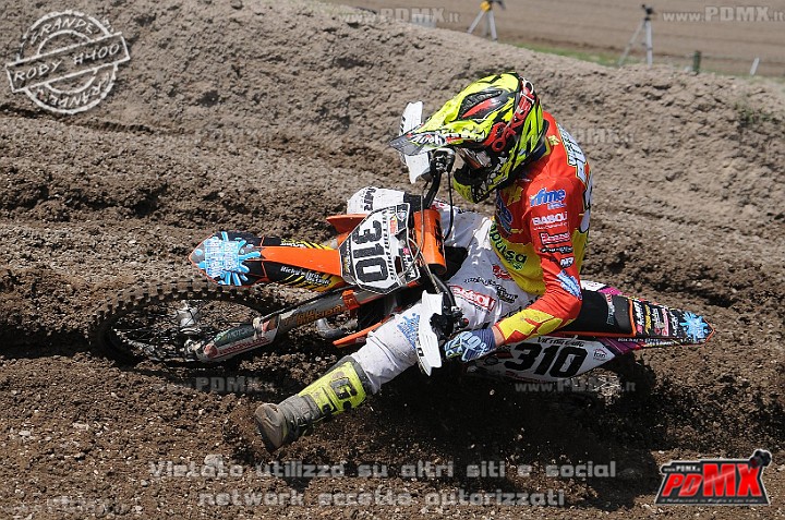 FOX_3140.JPG
