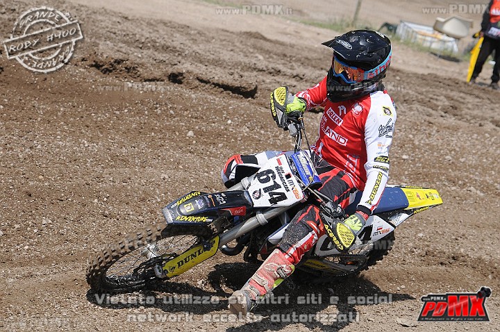 FOX_3143.JPG