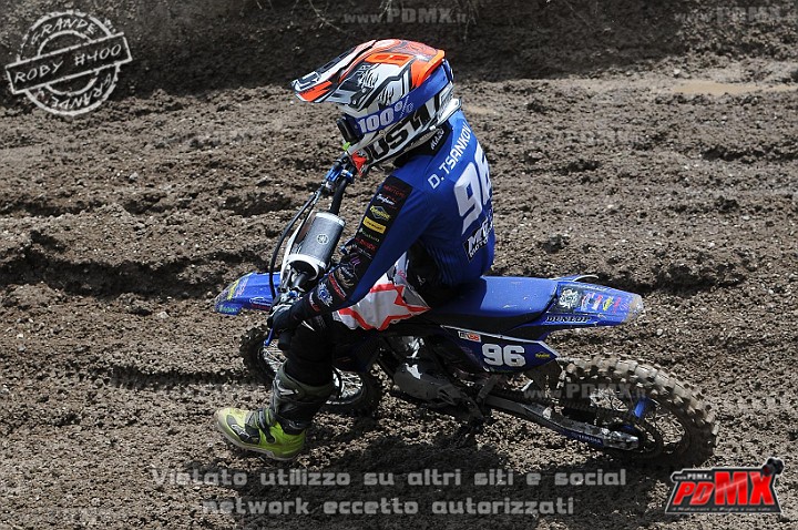 FOX_3157.JPG