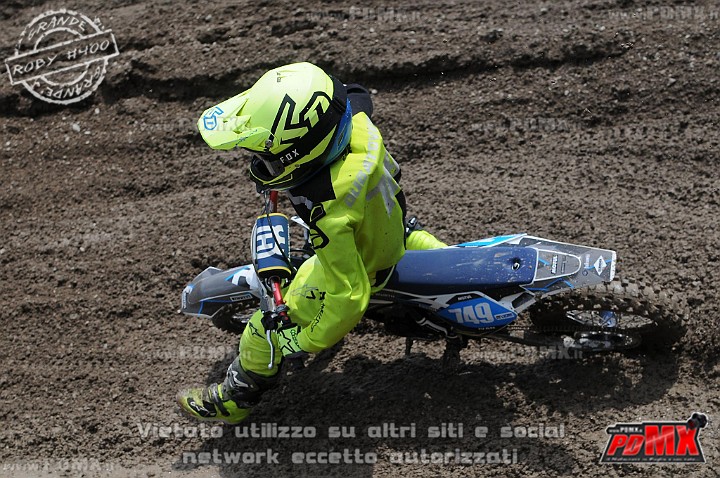FOX_3159.JPG