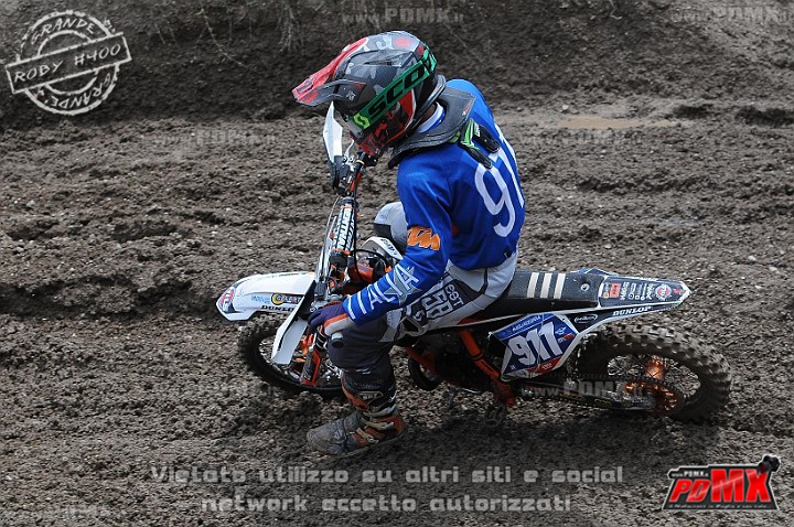 FOX_3162.JPG