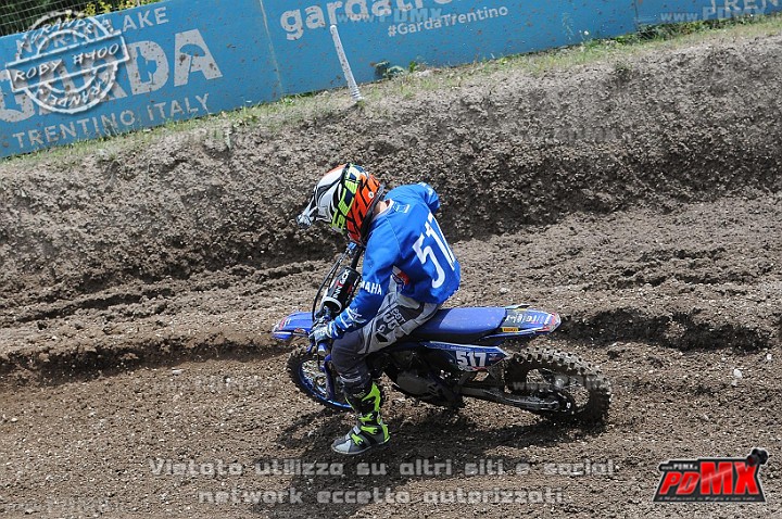 FOX_3163.JPG