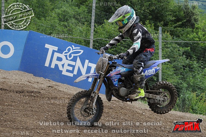 FOX_3168.JPG