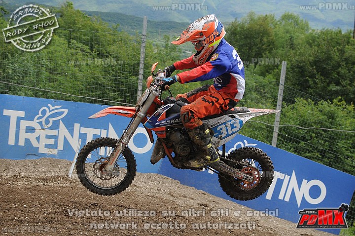 FOX_3184.JPG
