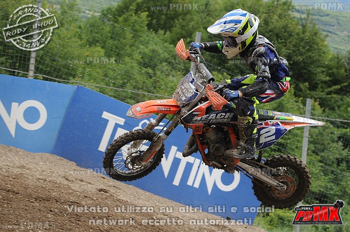 FOX_3189.JPG