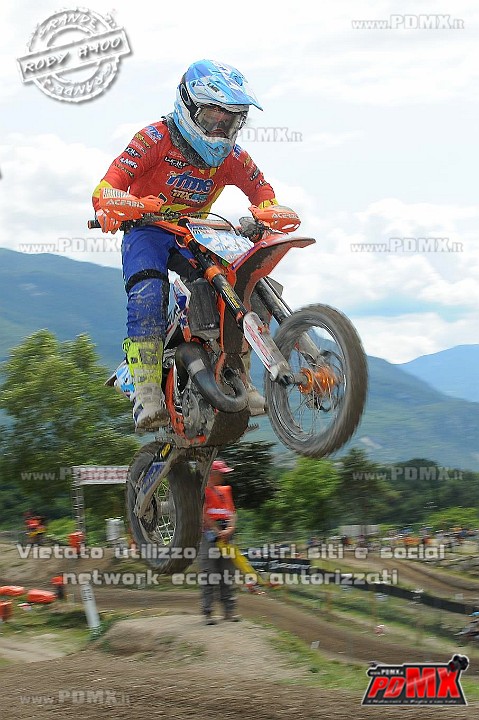 FOX_3208.JPG