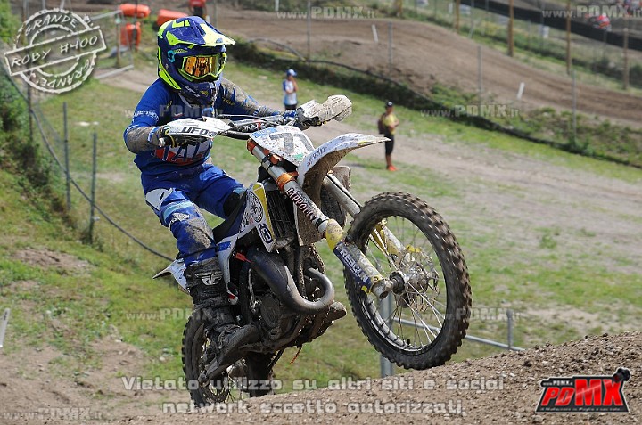 FOX_3260.JPG