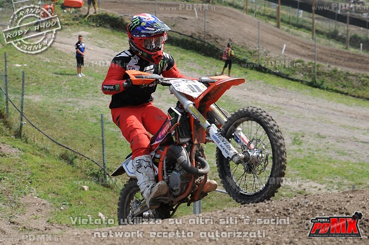 FOX_3261.JPG