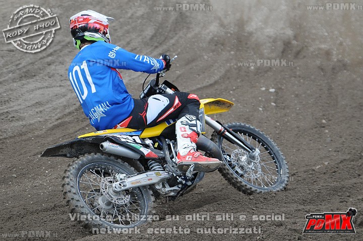 FOX_3278.JPG
