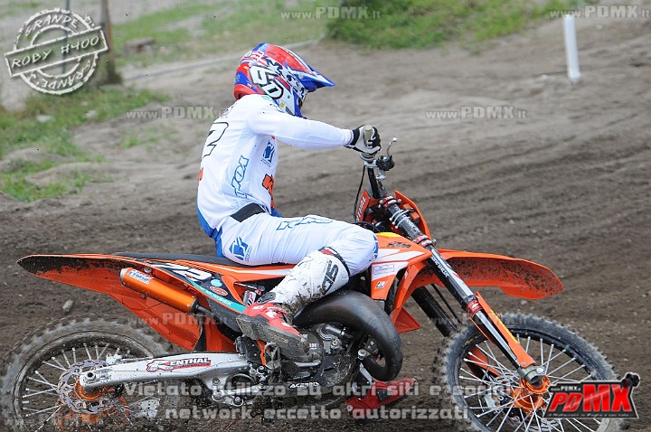 FOX_3281.JPG
