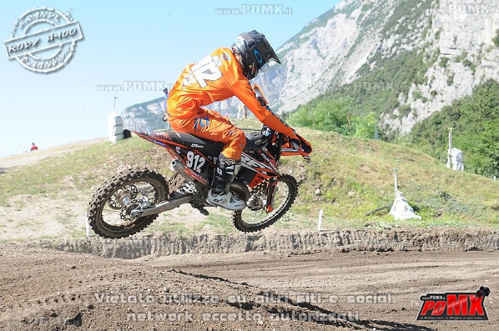 FOX_3322.JPG