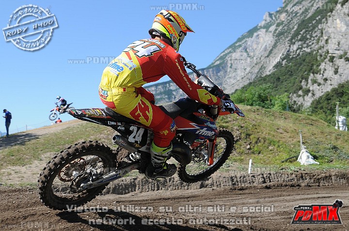 FOX_3331.JPG