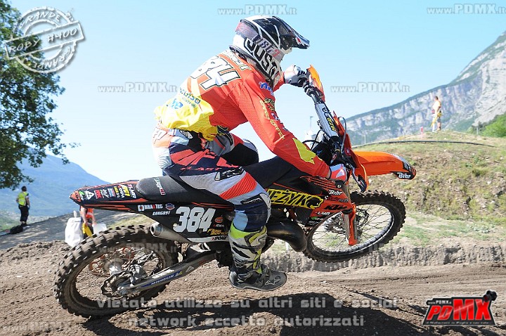 FOX_3332.JPG