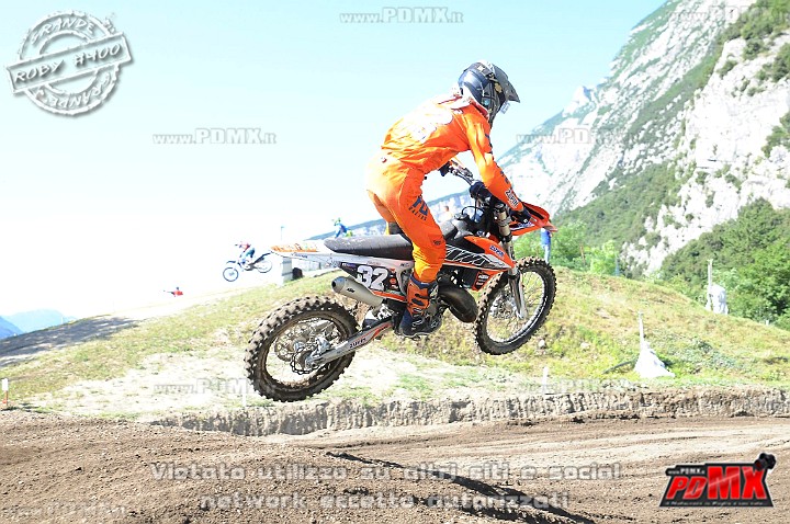 FOX_3340.JPG
