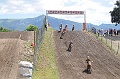 FOX_3387