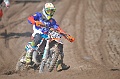 _DSC7993