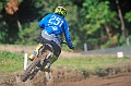 _DSC8452