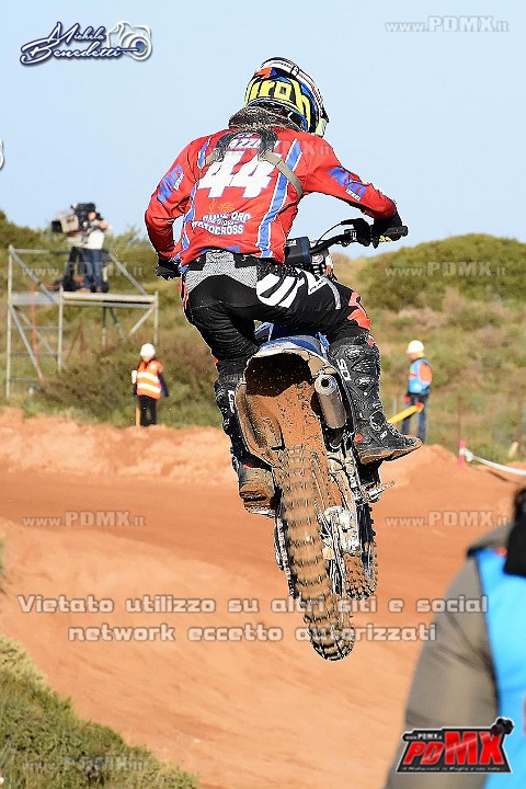 DSC_8633.JPG