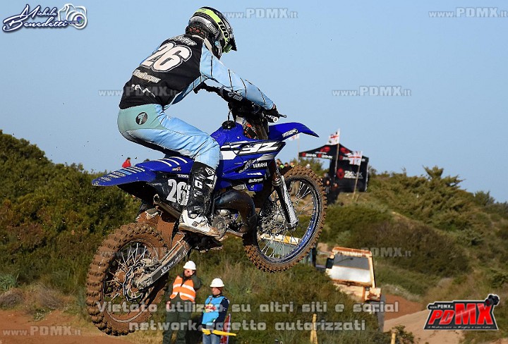 DSC_8667.JPG