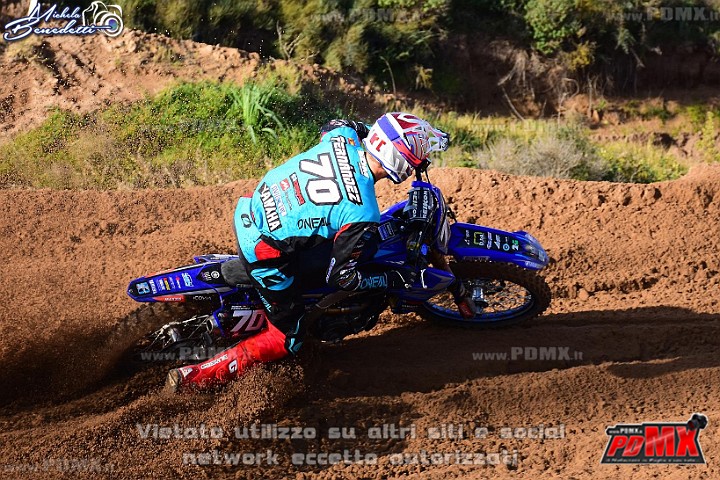 DSC_8907.JPG