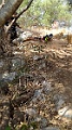 IMG_20210905_100046